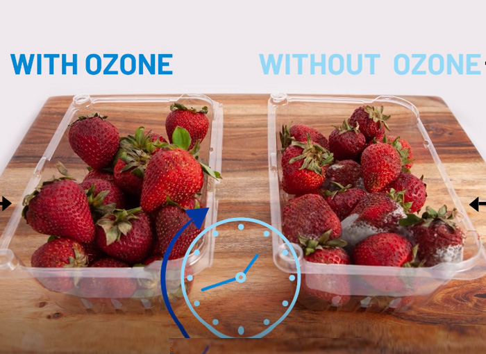 washing-fruits-and-vegetables